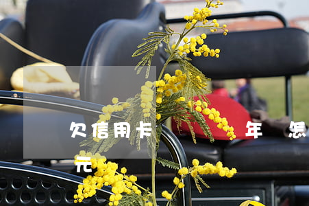 欠信用卡幾塊錢幾年會怎么樣（信用卡欠39元）