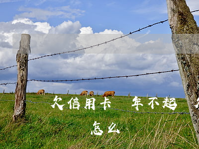 欠信用卡幾年不起訴(欠信用卡長期不還被起訴會怎么樣)