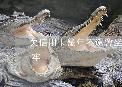 欠信用卡幾年不還會坐牢(欠信用卡會不會坐牢)