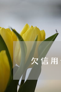 欠信用卡幾年不還的人(有欠信用卡幾年的嗎)