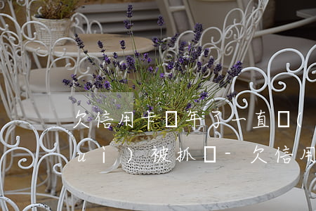 欠信用卡幾年了一直沒(méi)還會(huì)被抓嗎-欠信用卡幾年了一直沒(méi)還會(huì)被抓嗎知乎
