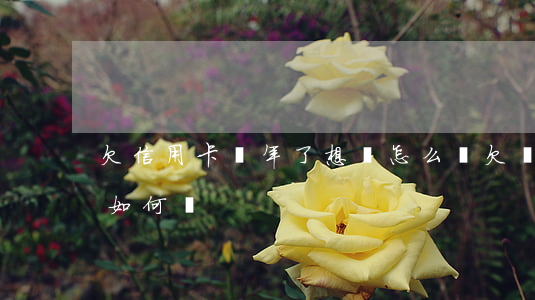 欠信用卡幾年了想還怎么還（欠幾年的信用卡如何還）