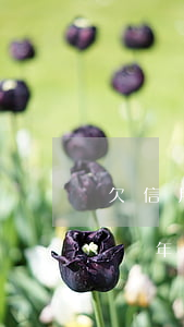 欠信用卡幾年了還有法律制裁嗎-欠信用卡幾年了還有法律制裁嗎怎么辦