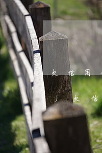 欠信用卡幾年會(huì)上網(wǎng)(欠信用卡幾年會(huì)坐牢)