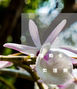 欠信用卡幾年沒還會(huì)有什么后果-欠信用卡幾年沒還會(huì)有什么后果嗎