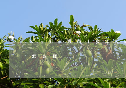 欠信用卡幾百十多年(欠信用卡幾百十多年會怎么樣)