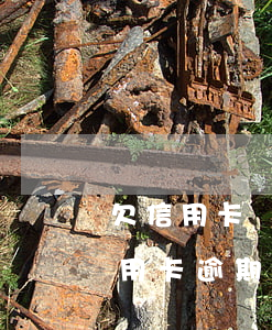 欠信用卡幾百萬(wàn)人都坐牢了嗎（信用卡逾期真正被坐牢有多少人）