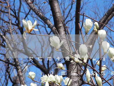 欠信用卡幾萬(wàn)塊錢被起訴沒(méi)出庭-欠信用卡幾萬(wàn)塊錢被起訴沒(méi)出庭會(huì)怎么樣