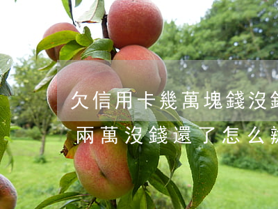 欠信用卡幾萬塊錢沒錢還怎么辦(信用卡欠了兩萬,沒錢還了怎么辦)