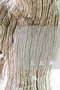 欠信用卡幾萬會上門嗎 欠信用卡幾萬塊會抓嗎