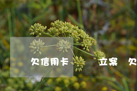 欠信用卡幾萬會立案嗎(欠信用卡幾萬塊)
