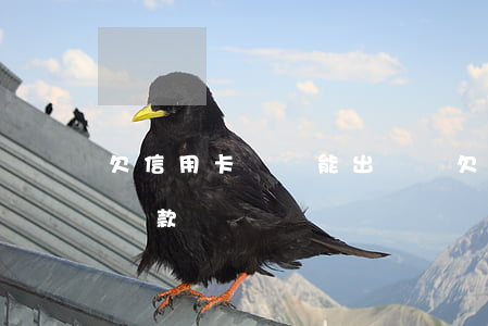 欠信用卡幾萬能出國嗎(欠信用卡幾萬能買房貸款嗎)