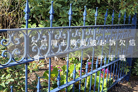 欠信用卡幾萬被起訴(欠信用卡幾萬被起訴了會(huì)坐牢嗎)