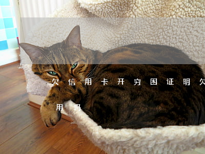 欠信用卡开穷困证明(欠信用卡开穷困证明有用吗)
