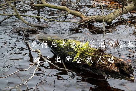 欠信用卡当地派出所会抓人吗-欠信用卡当地派出所会抓人吗