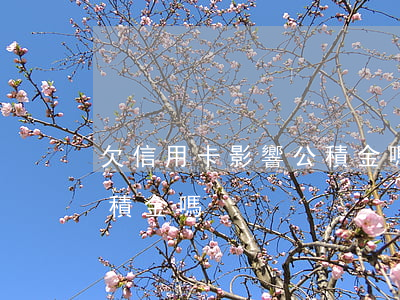 欠信用卡影響公積金嗎-欠信用卡錢會扣公積金嗎