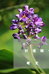 欠信用卡影響子女考公-欠信用卡孩子不能考大學(xué)嗎