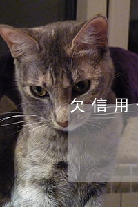 欠信用卡影響找工作嗎