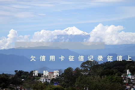 欠信用卡 征信记录(征信上信用卡逾期记录能清除吗)