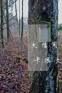 欠信用卡很久如何查有沒有被起訴-欠信用卡很久如何查有沒有被起訴呢
