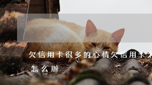 欠信用卡很多的心情(欠信用卡太多感覺抑郁怎么辦)