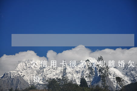 欠信用卡很多錢想離婚(欠信用卡很多錢想離婚)