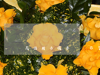 欠信用卡很多錢還不了(欠各種信用卡還不上怎么辦)