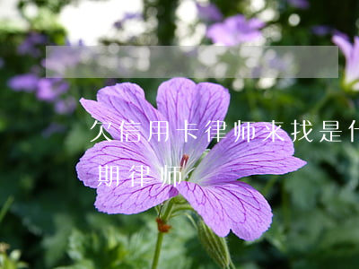 欠信用卡律师来找是什么情况（萍乡信用卡逾期律师）