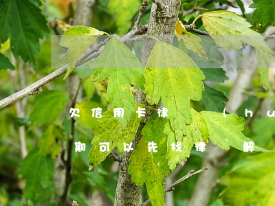 欠信用卡律師會(huì)上門嗎（信用卡逾期可以先找律師解決嗎）
