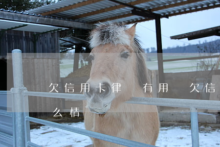 欠信用卡律師有用嗎(欠信用卡律師來找是什么情況)