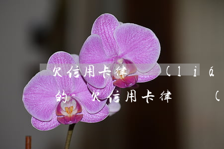 欠信用卡律師聯(lián)系我是不是真的-欠信用卡律師聯(lián)系我是不是真的假的
