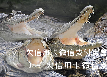 欠信用卡微信支付寶會不會被凍結(jié)-欠信用卡微信支付寶會不會被凍結(jié)銀行卡
