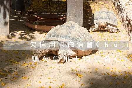 欠信用卡微信會(huì)封號(hào)嗎（欠信用卡微信會(huì)封號(hào)嗎）
