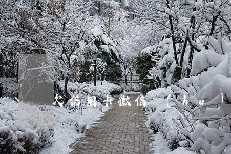 欠信用卡微信會(huì)被扣嗎