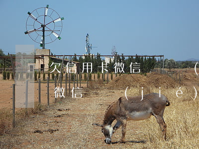 欠信用卡微信會凍結(jié)嗎（欠信用卡微信凍結(jié)嗎）