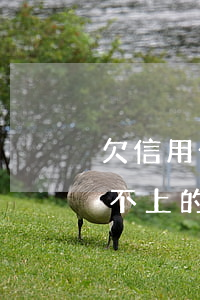 欠信用卡微信群(有沒(méi)有信用卡還不上的群了解了解)