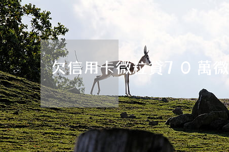 欠信用卡微粒貸70萬(微粒貸欠1500)