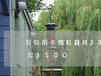 欠信用卡微粒貸共23萬(wàn)(微粒貸欠3500)