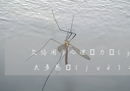 欠信用卡心理壓力過(guò)大(欠信用卡太多感覺(jué)抑郁怎么辦)