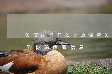 欠信用卡怎么上頭條查(欠信用卡他們怎么查到你的家庭信息)
