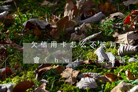欠信用卡怎么不被判刑-欠信用卡怎樣才不會(huì)被起訴