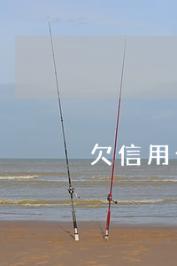 欠信用卡怎么判的罰金