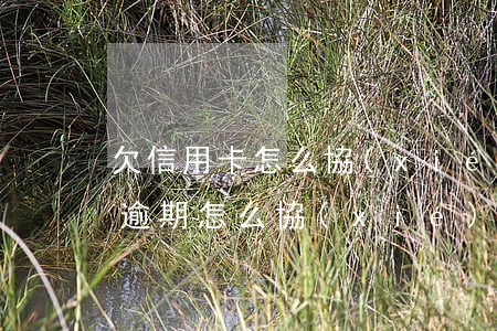 欠信用卡怎么協(xié)商還款（信用卡快逾期怎么協(xié)商還款）