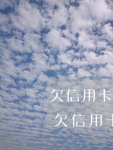 欠信用卡怎么協(xié)商還款最合適-欠信用卡怎么協(xié)商還款最合適呢