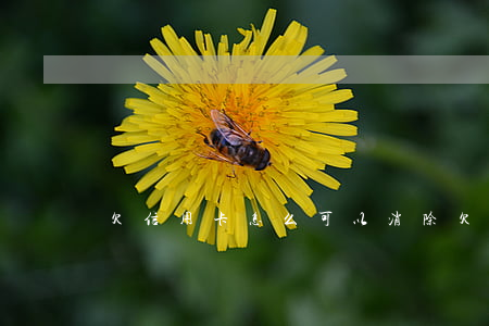 欠信用卡怎么可以消除(欠信用卡怎么處理)