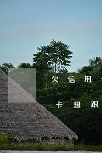 欠信用卡怎么向父母開(kāi)口（欠信用卡想跟家里說(shuō)了）
