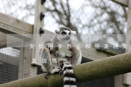 欠信用卡怎么和朋友說 欠信用卡應該跟男朋友說嗎
