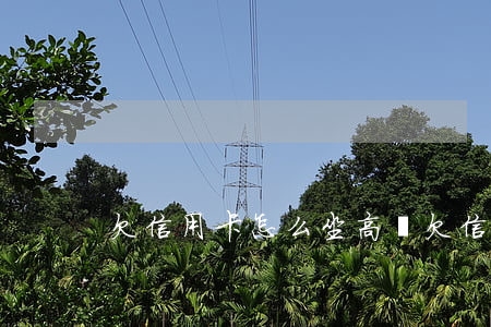 欠信用卡怎么坐高鐵(欠信用卡坐高鐵會抓)