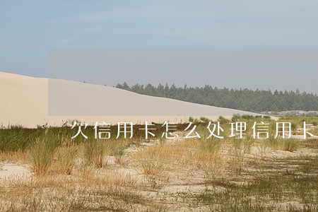 欠信用卡怎么处理（信用卡欠巨款的句子）