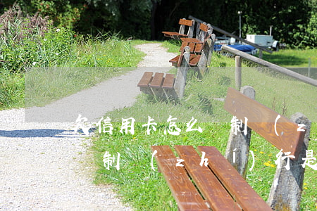 欠信用卡怎么強制執(zhí)行(欠信用卡強制執(zhí)行是什么意思)